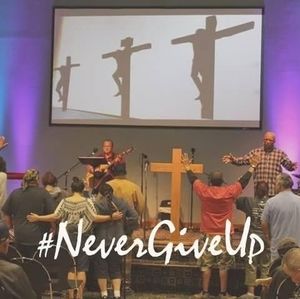 Meet your Posher, Elsie